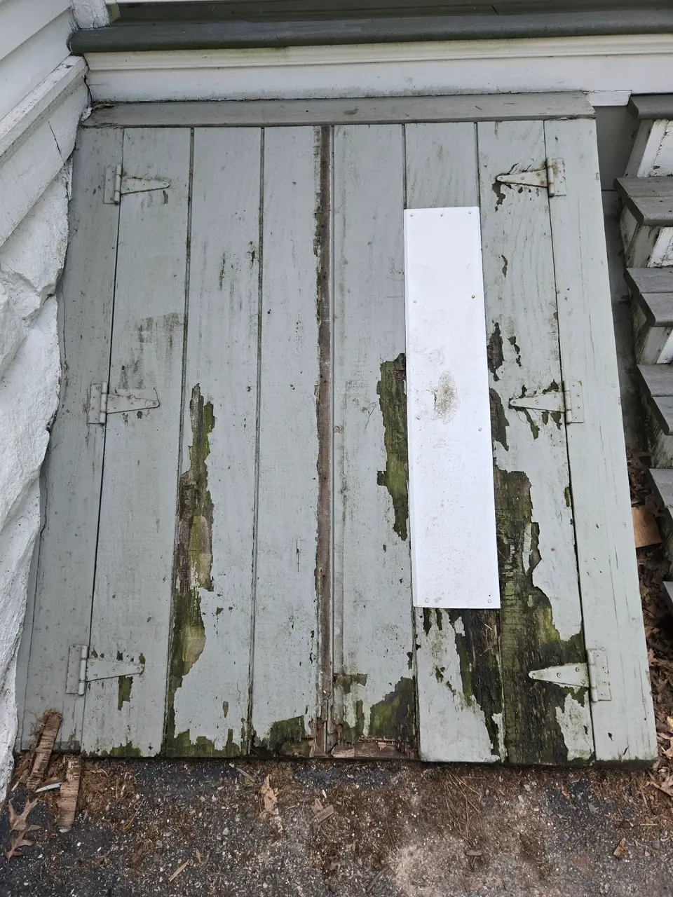 The old cellar doors, weathered gray boards with rot and moss along the seams and a white metal patch.